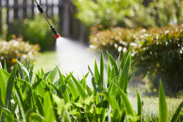 Tamper-Resistant Bait Stations for Rodents in Carefree