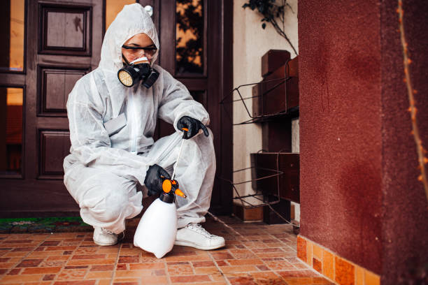 Attic and Crawl Space Rodent Treatment in Carefree
