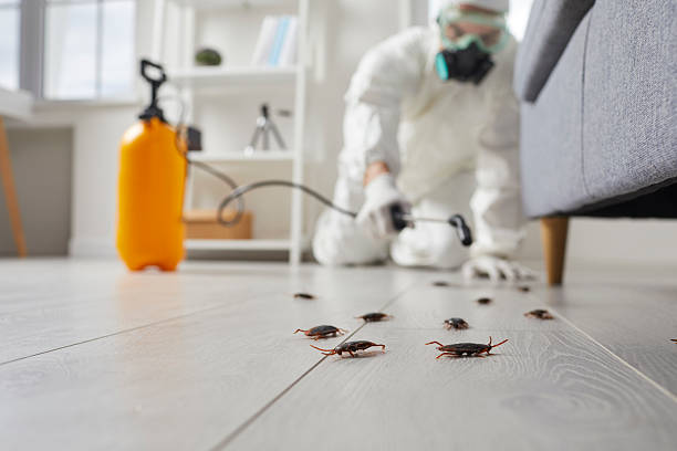 Commercial Rodent Management in Carefree